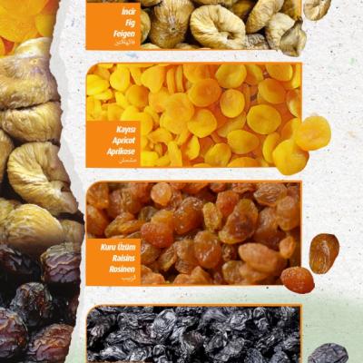 Saffron Katalog 012