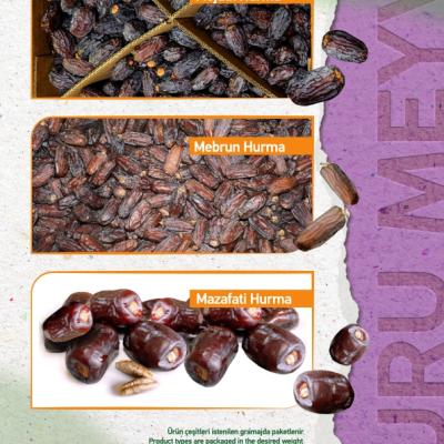 Saffron Katalog 013